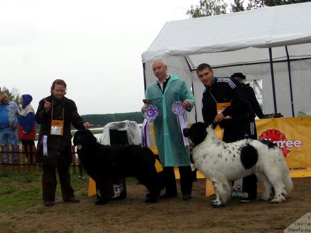 Фотография № 74641