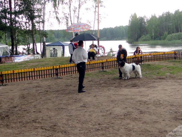 Фотография № 74642