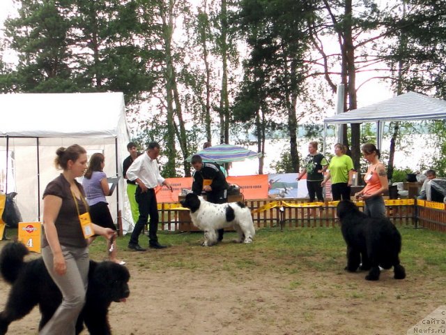 Фотография № 74643