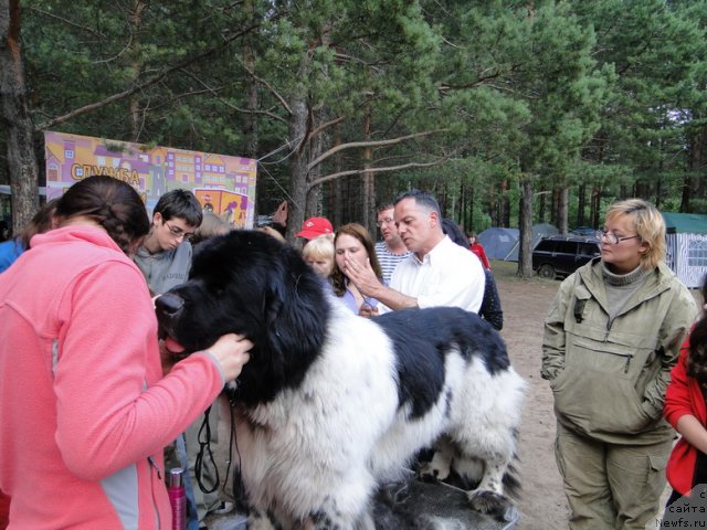 Фотография № 74647