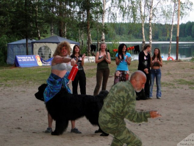 Фотография № 74651