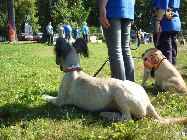 Фото: бриар ЗОР