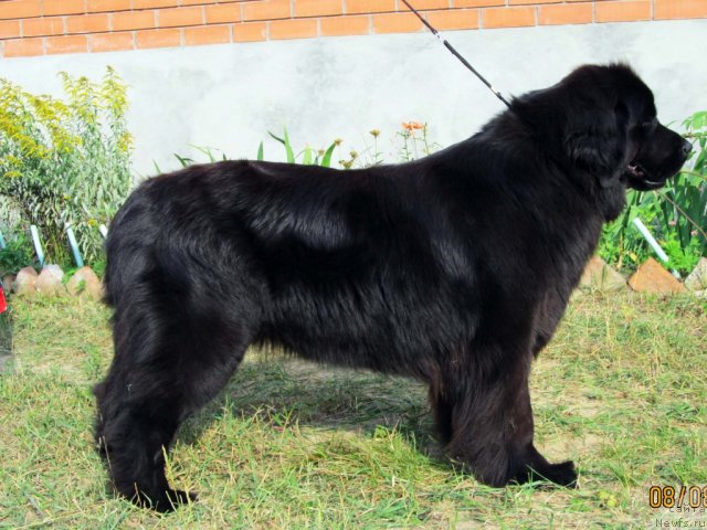 Фотография № 74678