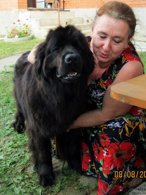 Фотография № 74679