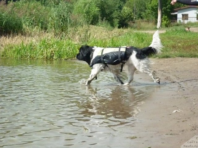 Фотография № 74711