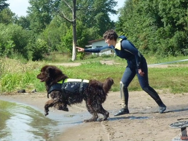 Фотография № 74732