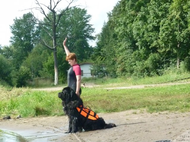 Фотография № 74737