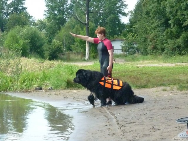 Фотография № 74738