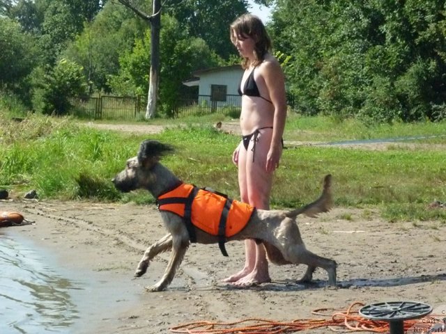 Фотография № 74761