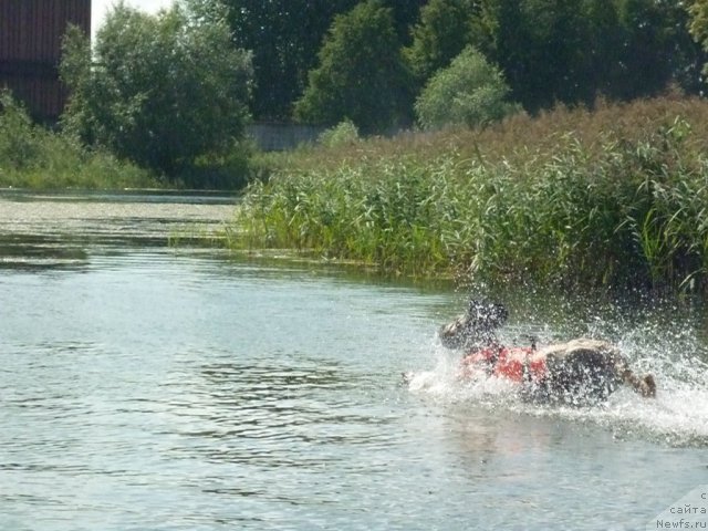 Фотография № 74763