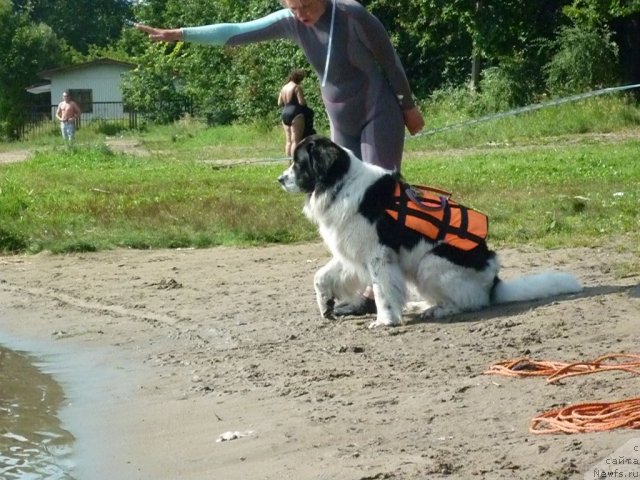 Фотография № 74771