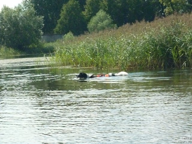 Фотография № 74774