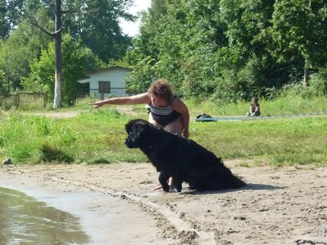 Фотография № 74778