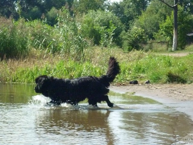 Фотография № 74780