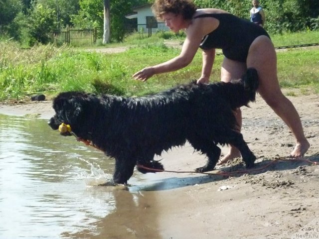 Фотография № 74781