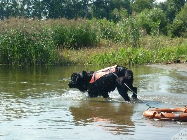 Фотография № 74787