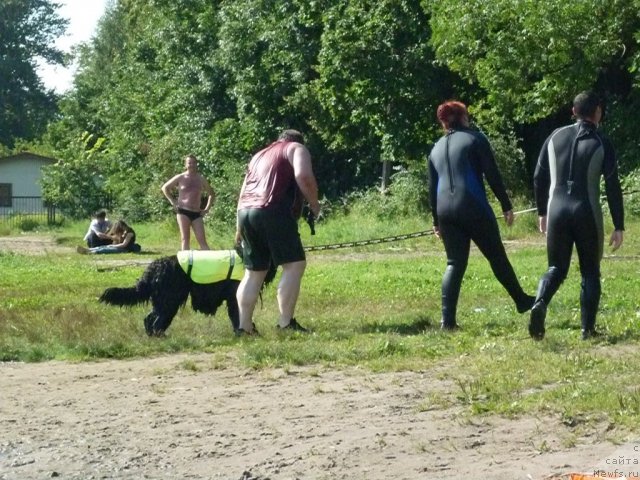 Фотография № 74799