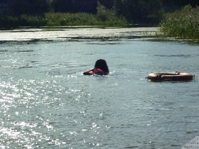 Фотография № 74806