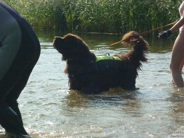 Фотография № 74807