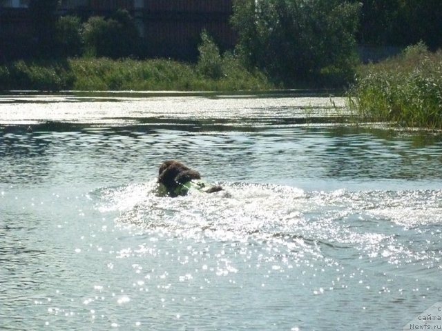 Фотография № 74808