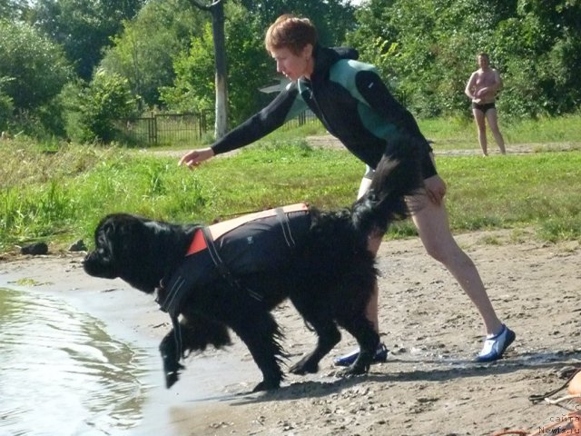 Фотография № 74810