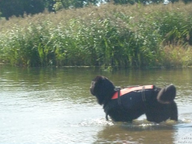 Фотография № 74811