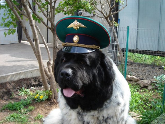 Фотография № 74826