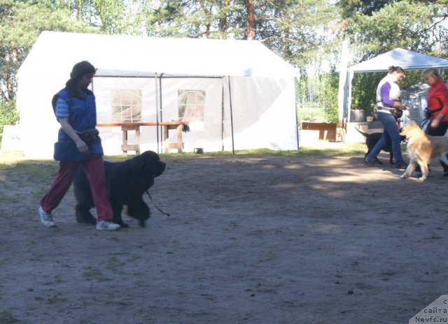 Фотография № 74828