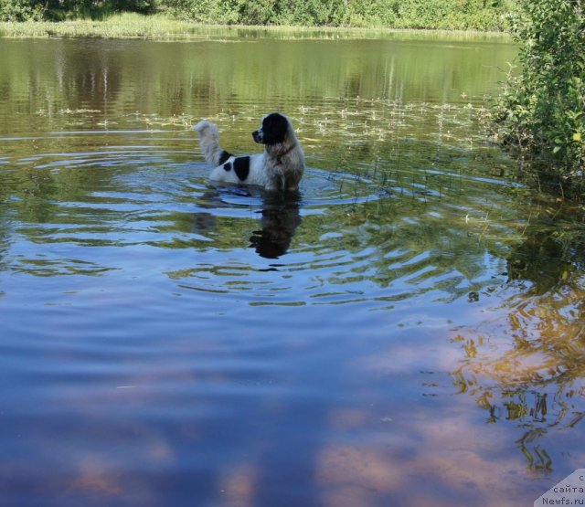 Фотография № 74839