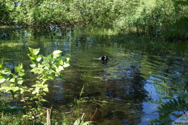 Фотография № 74842