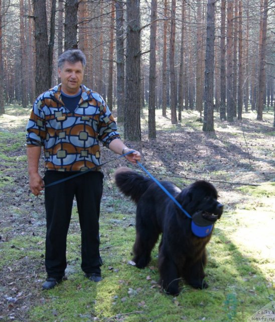 Фотография № 74849