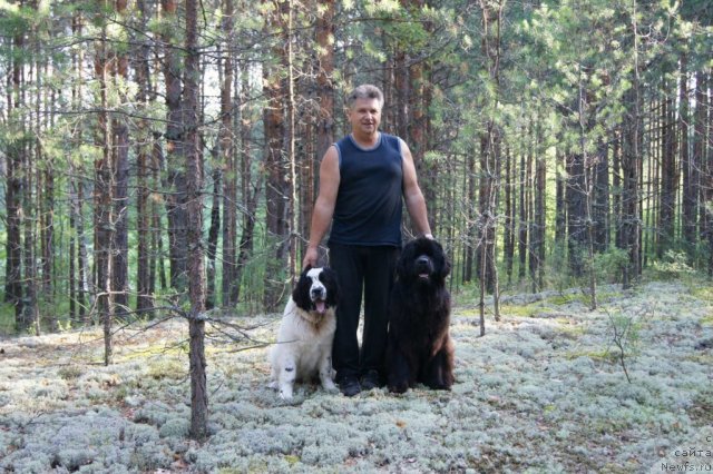 Фотография № 74853