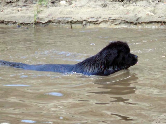 Фотография № 74856