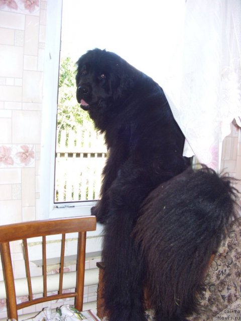 Фотография № 74875