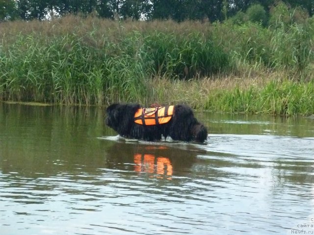 Фотография № 74888