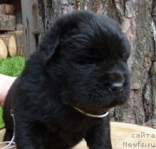 Фотография № 74913