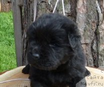 Фотография № 74914