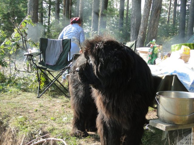 Фотография № 74989