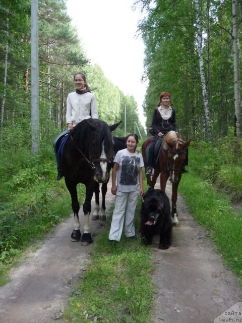 Фото: ньюфаундленд Рафаэлла Бриллианс Черная Жемчужина, Динара Тубаева