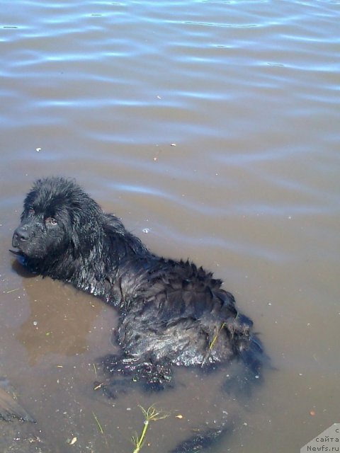 Фотография № 75037