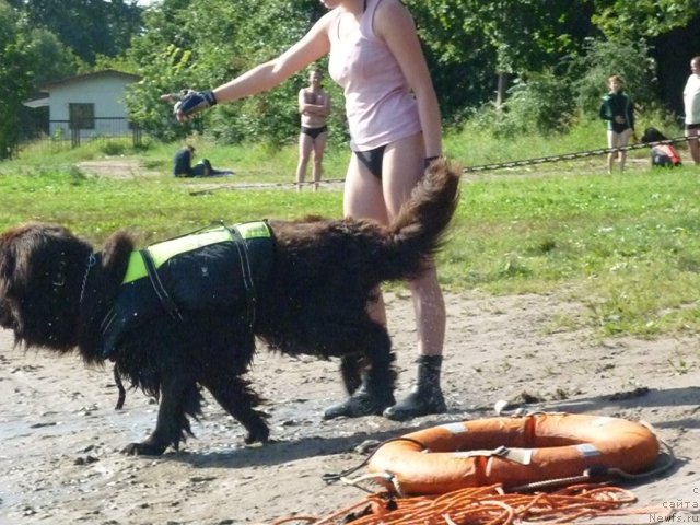 Фотография № 75043