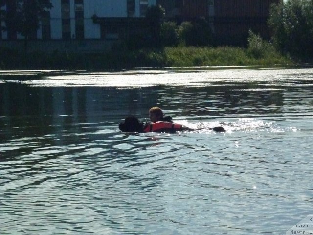 Фотография № 75045