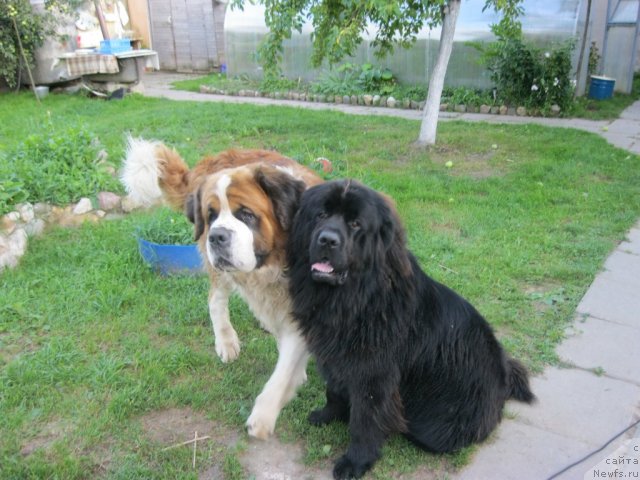 Фотография № 75065