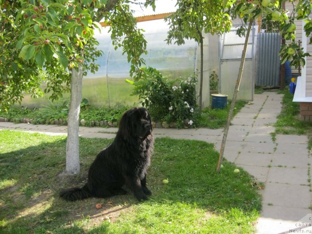 Фотография № 75066