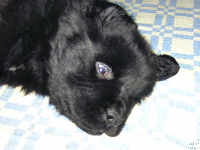 Фотография № 75075