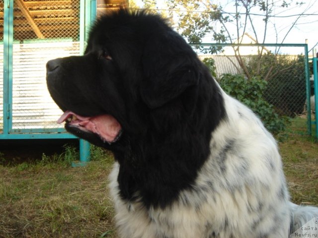 Фотография № 75189