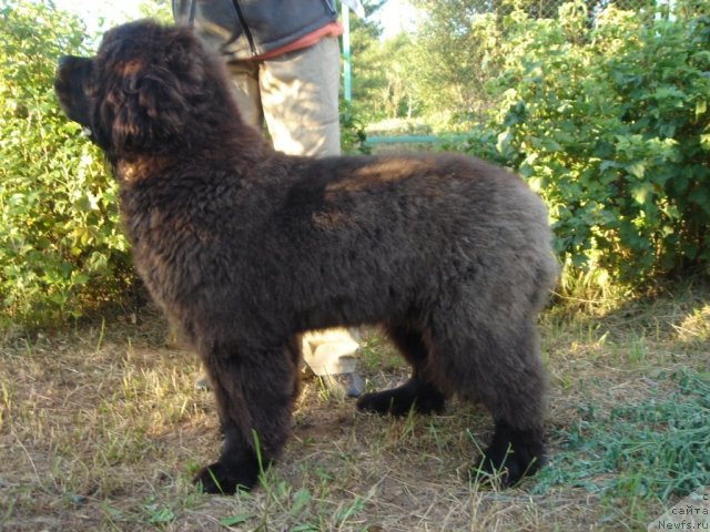 Фотография № 75190