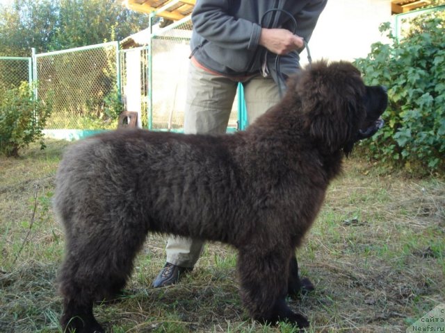 Фотография № 75192