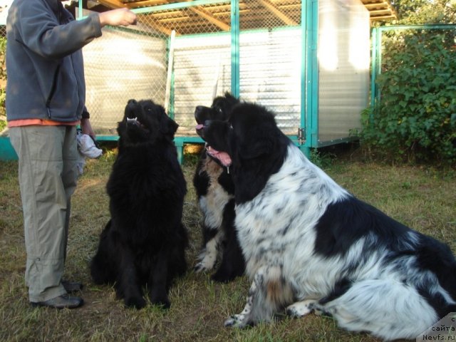 Фотография № 75194