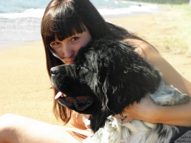 Фотография № 75199